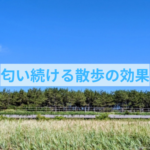 散歩が今の3倍楽しくなるちょっとしたコツ