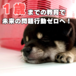 1歳までの教育で、未来の問題行動ゼロをめざして