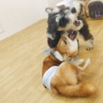 体調不良には睡眠が大切