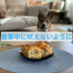 食事中に吠えない子に育てる方法