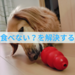 「うちの子食べない」の根本的な解決方法の１つ