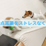 点耳薬を嫌がらない為に飼い主さんができる工夫