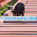 わんちゃんがトラウマを作らない散歩のコツ