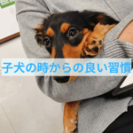 大切にしてほしい歯の習慣