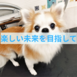 cocoicoが描くトリミング