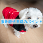 わんちゃんに服を着せる時のポイント