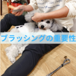 良いブラッシング習慣が未来をつくる