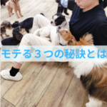 わんちゃんからモテる３つの秘訣