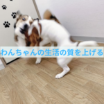 愛犬の生涯を充実させるために