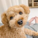 「たったひと粒」から始まる地獄の日々