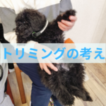 これからのトリミングの形