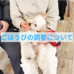 しつけで使うごほうびを食べすぎないコツ