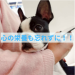 しつけがうまくいく家族の共通点