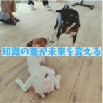 知識の差が未来を変える