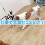 シール争奪戦が教えてくれた「仕事で大事なこと」