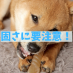 歯を守る＝固さに基準あり！ハサミで切れるかどうかが分かれ道