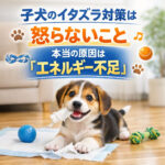 子犬のイタズラ対策は怒らないこと！本当の原因は「エネルギー不足」だった