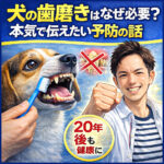 犬の歯磨きはなぜ必要？本気で伝えたい予防の話
