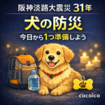 阪神淡路大震災の教訓を活かす│愛犬を守る防災チェック