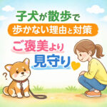 子犬が散歩で歩かない理由と対策│ご褒美より見守り⁉