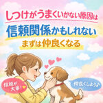 しつけがうまくいかない原因は信頼関係かもしれない⁉