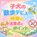 子犬の抱っこ散歩はワクチン前から始めよう