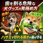 歯を割る危険な犬グッズの見極め方