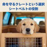 クレートはわんちゃんの命を守るシートベルト