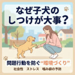 子犬の時からしつけが大切な理由