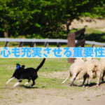 わんちゃんのエネルギー発散！留守番が長いと心に影響がある理由