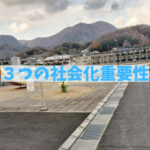 地域で違う！子犬に必要な社会化3つの優先順位