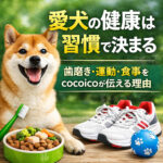 愛犬の健康は習慣で決まる！歯磨き・運動・食事をcocoicoが伝える理由
