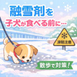 融雪剤を子犬が食べる前に散歩でできる対策