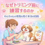 なぜトリミング前に練習するのか｜わんちゃんの怪我を防ぐ本当の目的