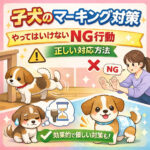 子犬のマーキング対策｜やってはいけないNG行動と正しい対応方法