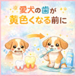 愛犬の歯が黄色くなる前に｜今すぐ始めたい歯周病予防の歯磨き習慣