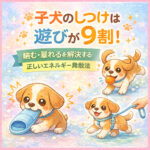 子犬のしつけは遊びが9割！噛む・暴れるを解決する正しいエネルギー発散法