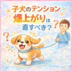 子犬のテンション爆上がりは直すべき？興奮を成長につなげる関わり方