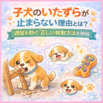 子犬のいたずらが止まらない理由とは？退屈を防ぐ正しい発散方法を解説