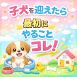 子犬を迎えたら最初にやること