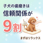 子犬の歯磨きは信頼関係が9割