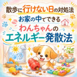 散歩に行けない日の対処法｜お家の中でできるわんちゃんのエネルギー発散法