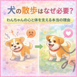 わんちゃんの散歩はなぜ必要？わんちゃんの心と体を変える本当の理由