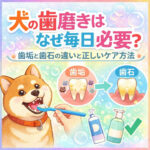 わんちゃんの歯磨きはなぜ毎日必要？歯垢と歯石の違いと正しいケア方法