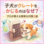 子犬がクレートをかじるのはなぜ？プロが教える簡単な対策2選