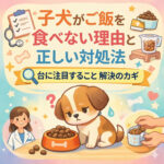 子犬がご飯を食べない理由と正しい対処法｜量に注目することが解決のカギ