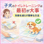 子犬のトイレトレーニングは最初が大事｜失敗を減らす簡単な方法