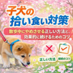 子犬の拾い食い対策｜散歩中にやめさせる正しい方法