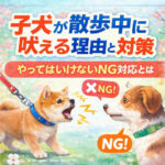 子犬が散歩中に吠える理由と対策｜やってはいけないNG対応とは