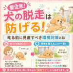 【要注意】犬の脱走は防げる！叱る前に見直すべき環境対策とは